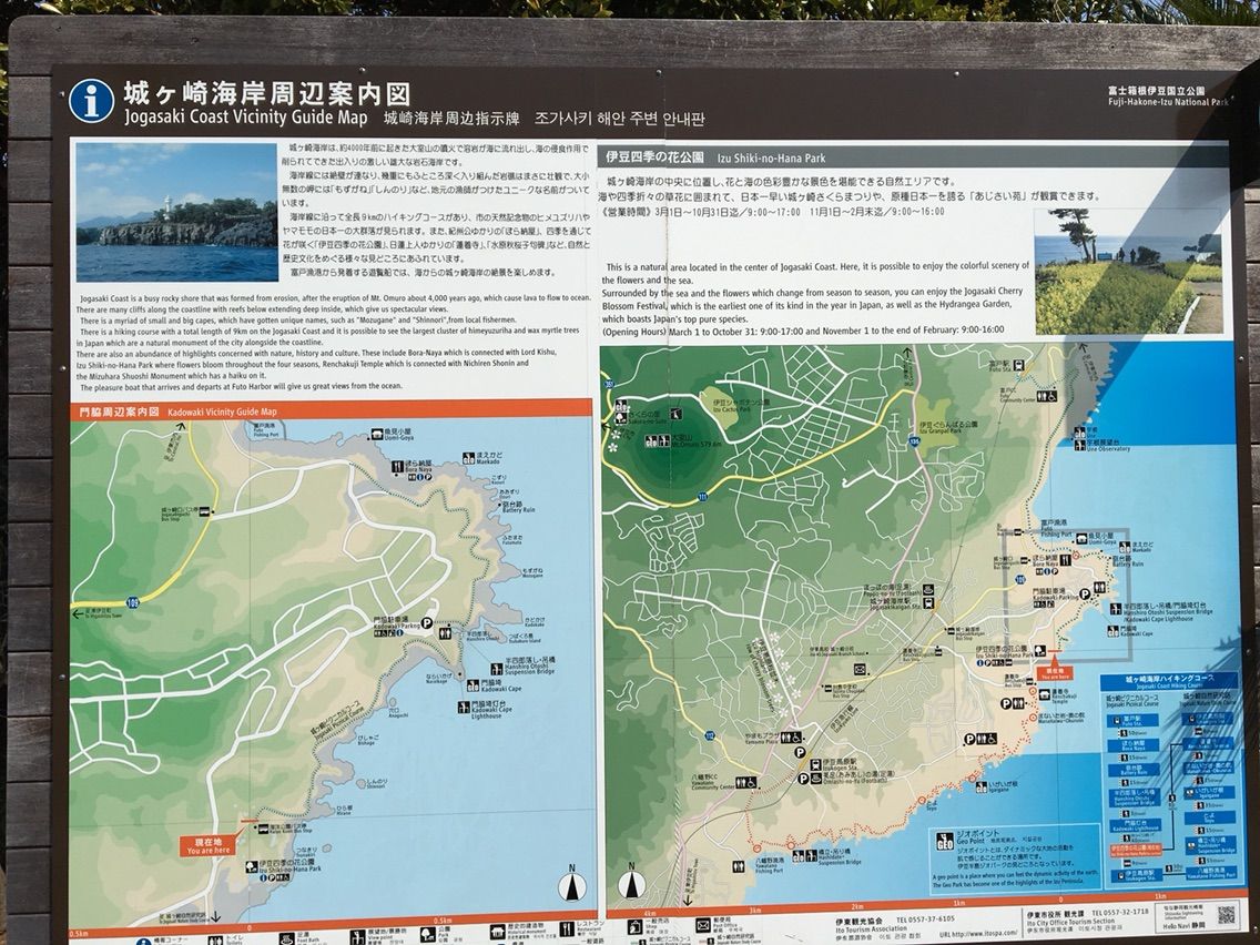 犬旅 伊豆高原 城ヶ崎ピクニカルコースを散策 雄大な海岸の景色が絶景でした トイプーサニーとミントのたいよう日記